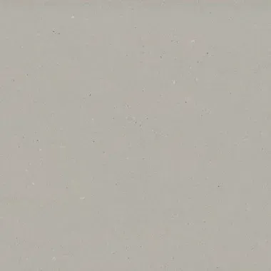 Pale gray background with slight speckling.