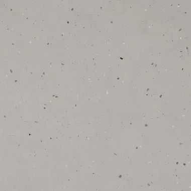 Light gray speckled surface.