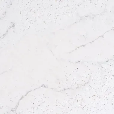 White marble surface with grey veining and speckled details.