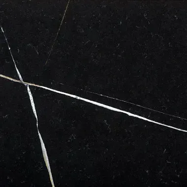 Black marble tile with white and gold veining.