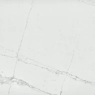 White quartz countertop with gray veining.