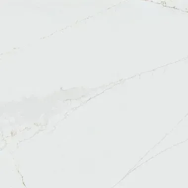 White marble with subtle gold veining.