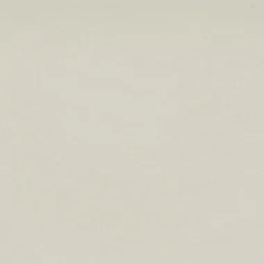 Off-white background with subtle texture, suggesting a neutral surface.