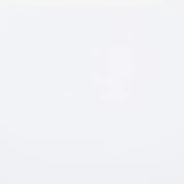 White, featureless background.