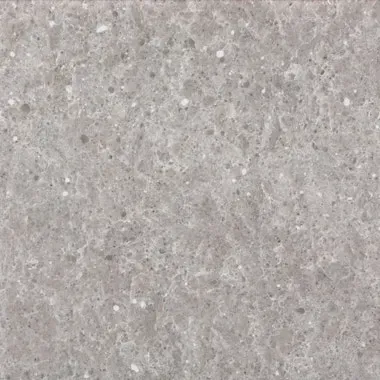 Gray stone surface with speckled texture.