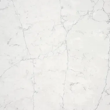 White marble slab with gray veining.