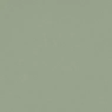 Solid pale green background.