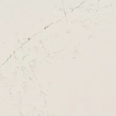 White quartz countertop with light gray veining.