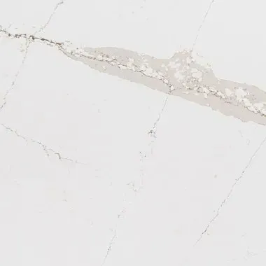 White marble slab with gray veining.