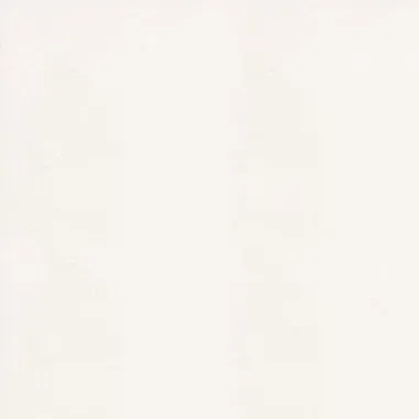 White background with subtle textures.