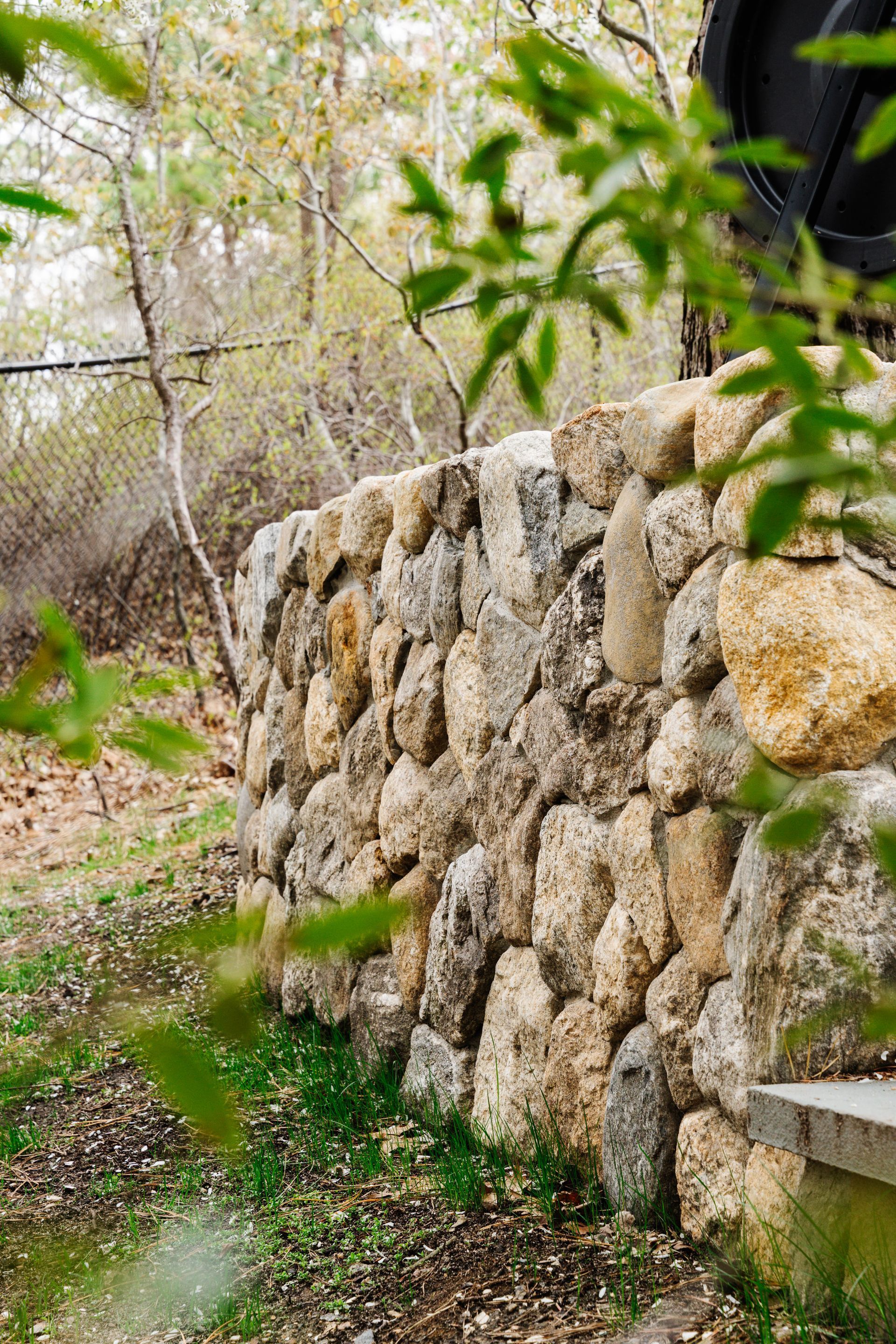 A stone wall in the middle of a forest with trees in the background.