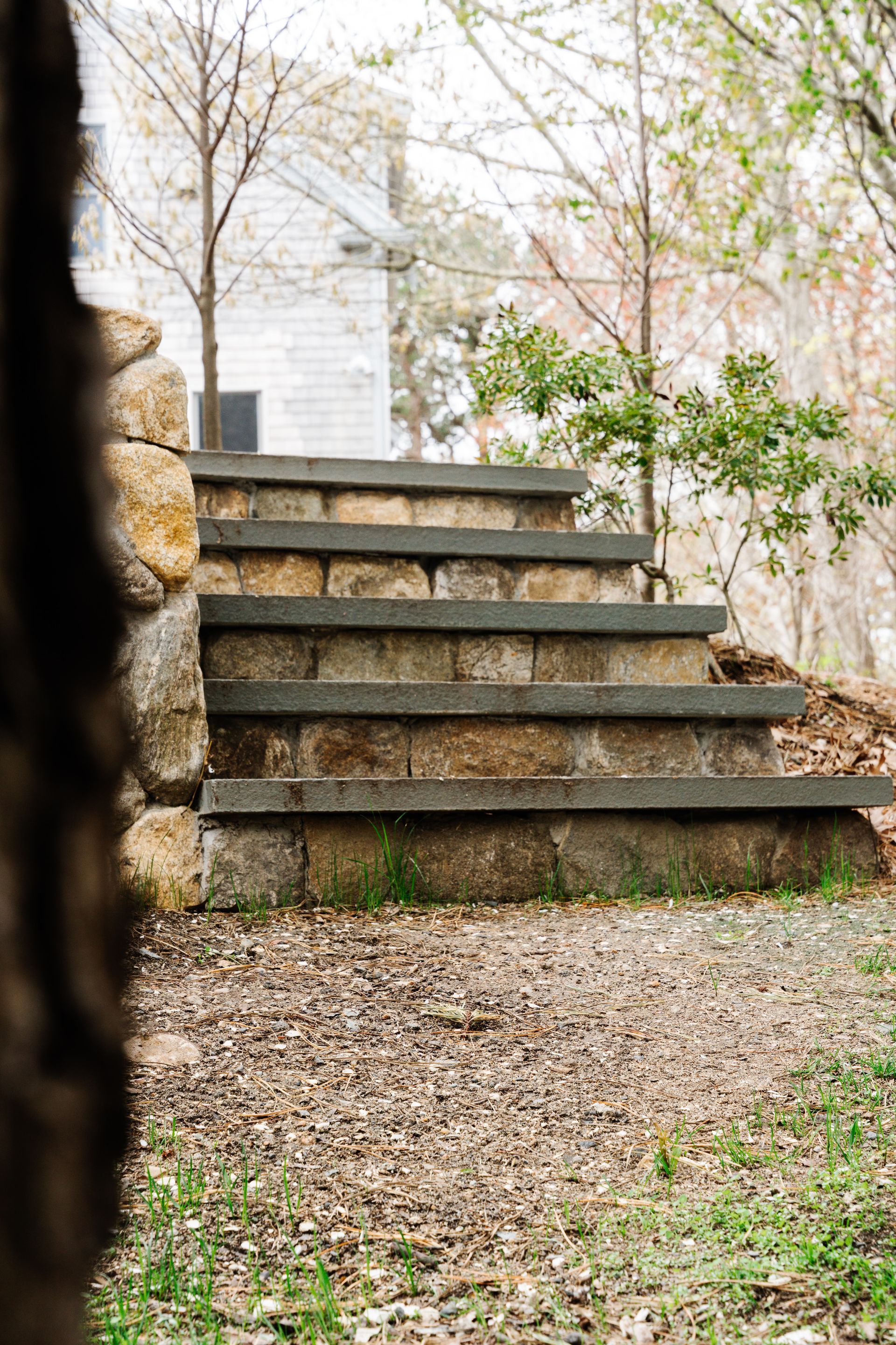 Stone steps leading up to a house, with a blurred tree trunk in the foreground.