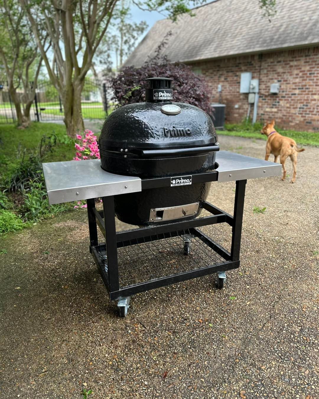 A dog is standing next to a grill on a cart.
