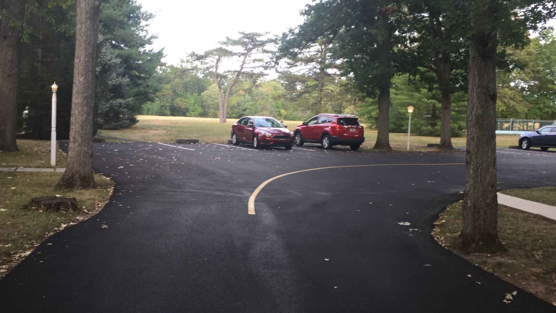 Two red cars parked on a winding asphalt road in a wooded park area
