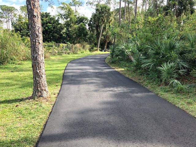 Curved paved path through a green wooded park with trees and shrubs on both sides