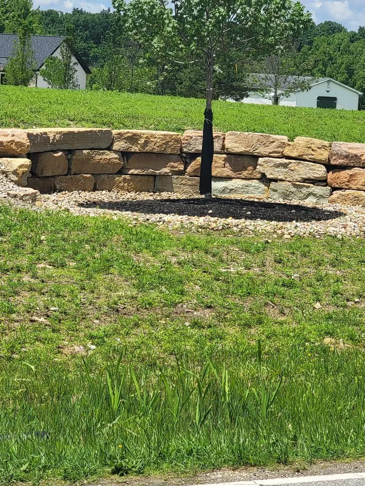 A stone wall with a tree in the middle of it.