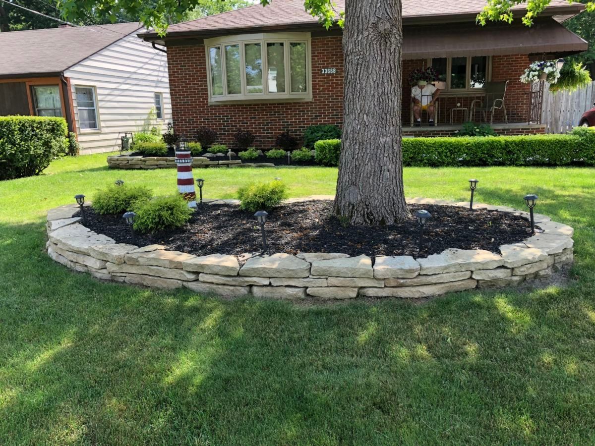 A tree in the middle of a lush green lawn in front of a house.