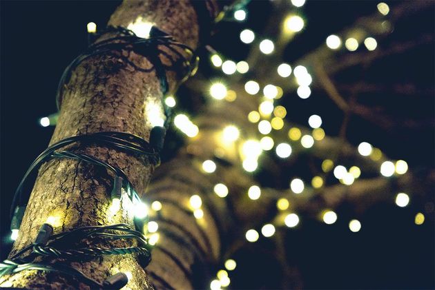 Close-up of a tree trunk wrapped with glowing string lights against a dark background