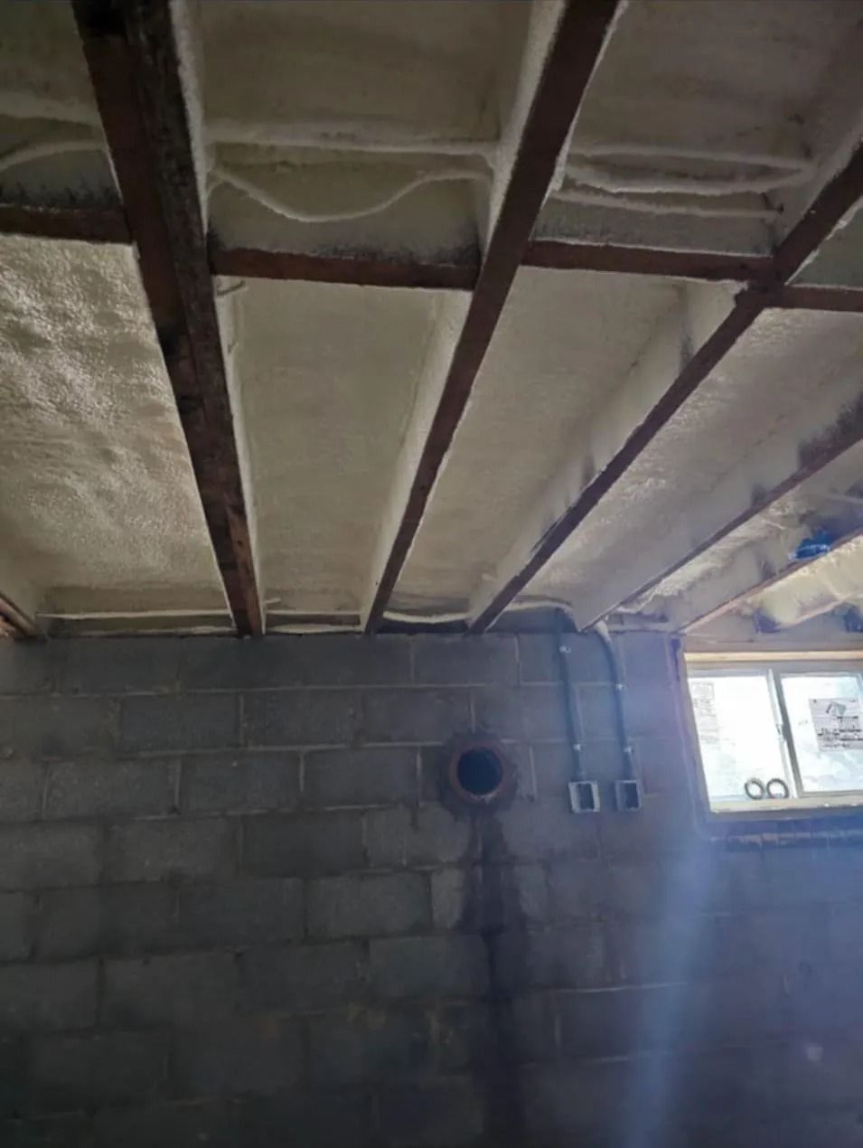 Basement ceiling with insulation between wooden beams, above concrete block wall.