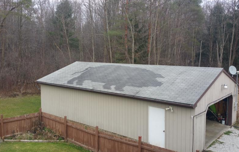 A detached garage with a dark, animal-shaped stain on its shingled roof, set in a wooded backyard with a wooden fence.