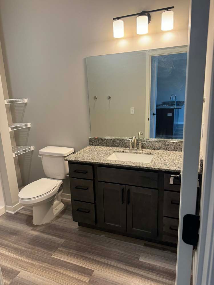 Bathroom with toilet, vanity, mirror, and shelf; gray walls and floor, neutral tones.