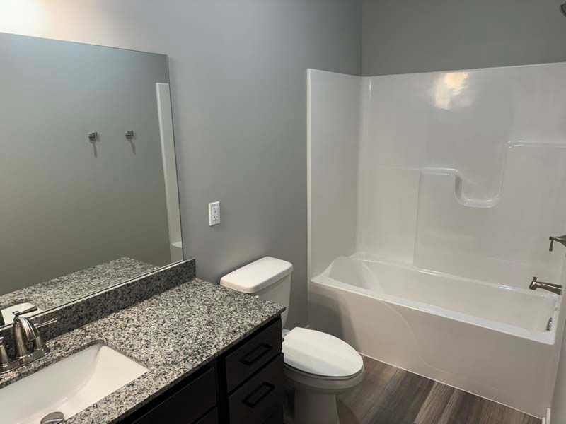 Bathroom with gray walls, white fixtures, granite countertop, and wood-look flooring.