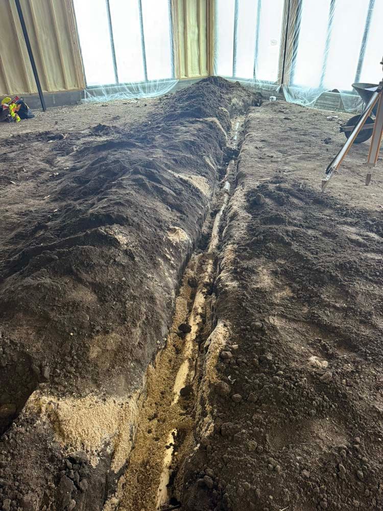 A narrow trench dug in the dirt floor of a room. Soil piled along its sides.