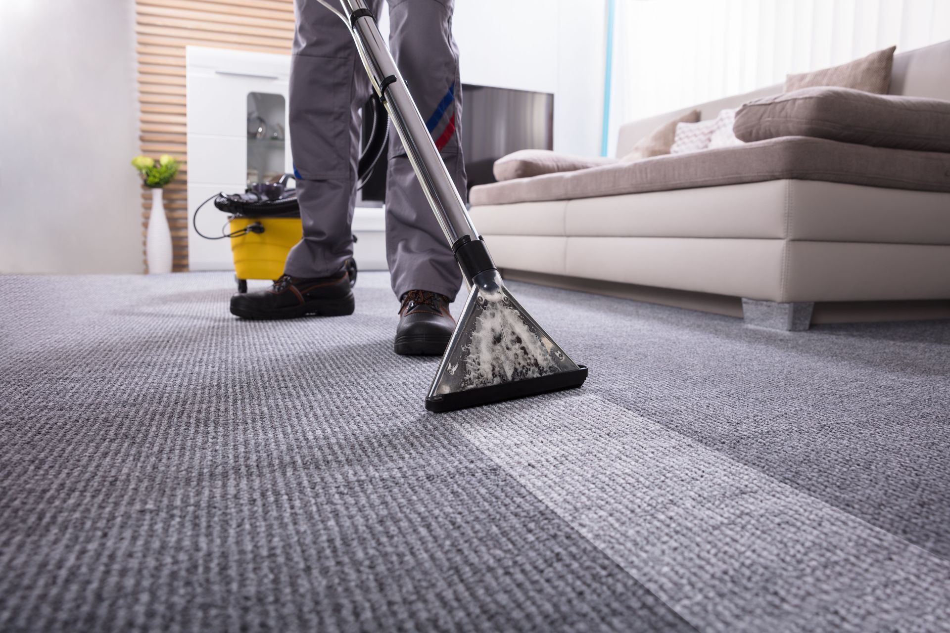 carpet cleaning services