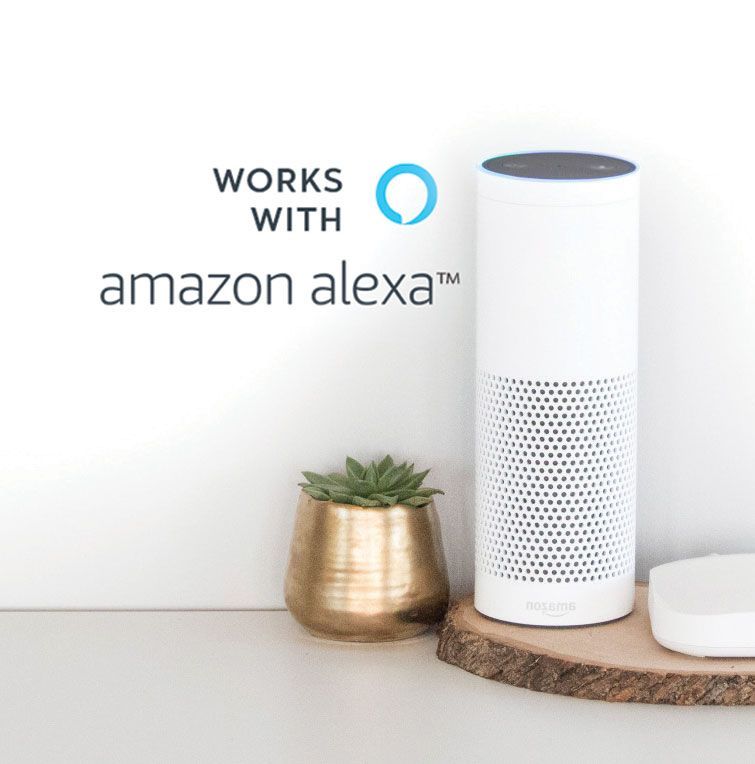 An amazon alexa speaker is sitting on a wooden shelf next to a potted plant