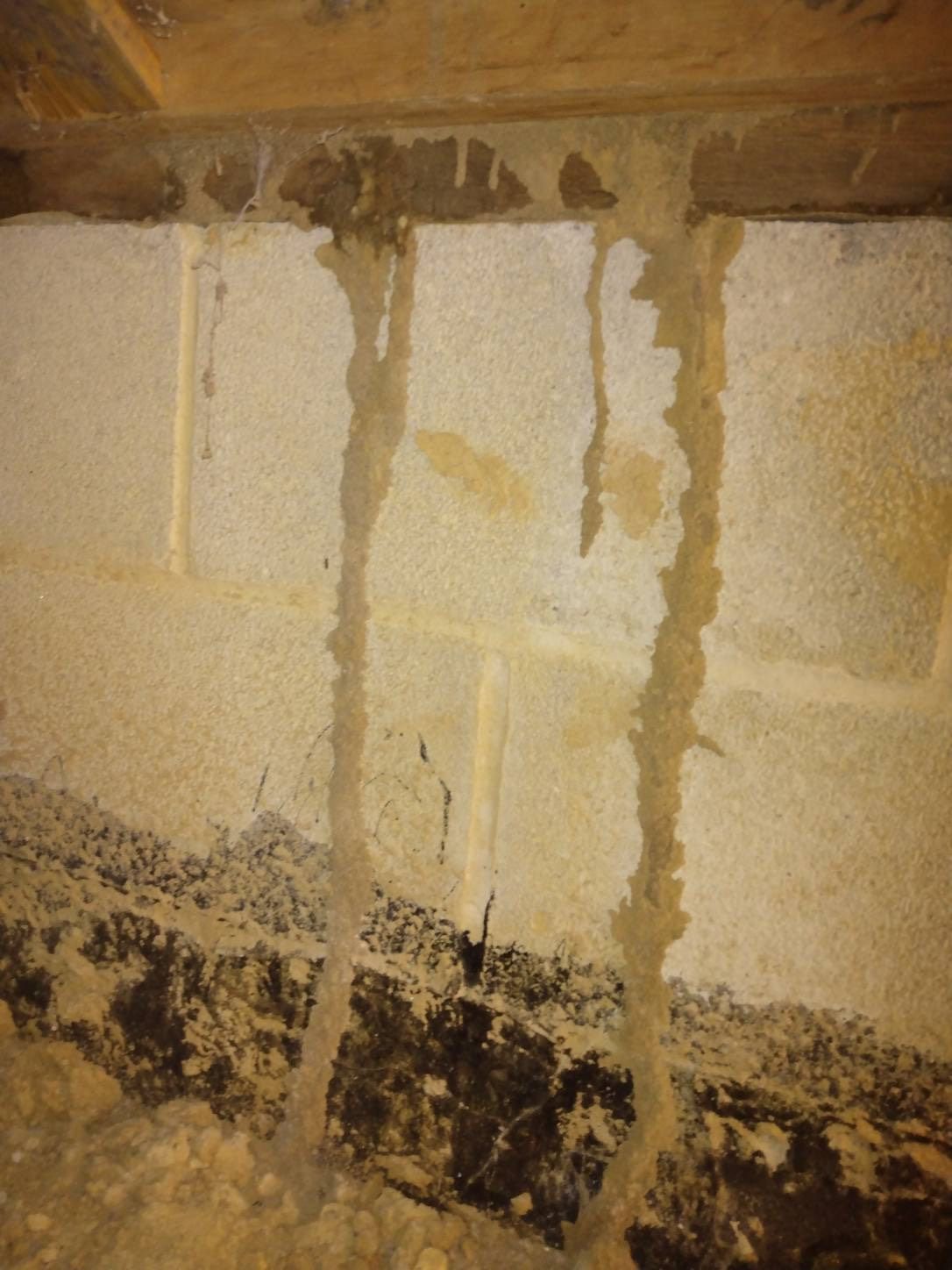 Water-damaged cinder block wall with peeling plaster and dark mold staining near the floor