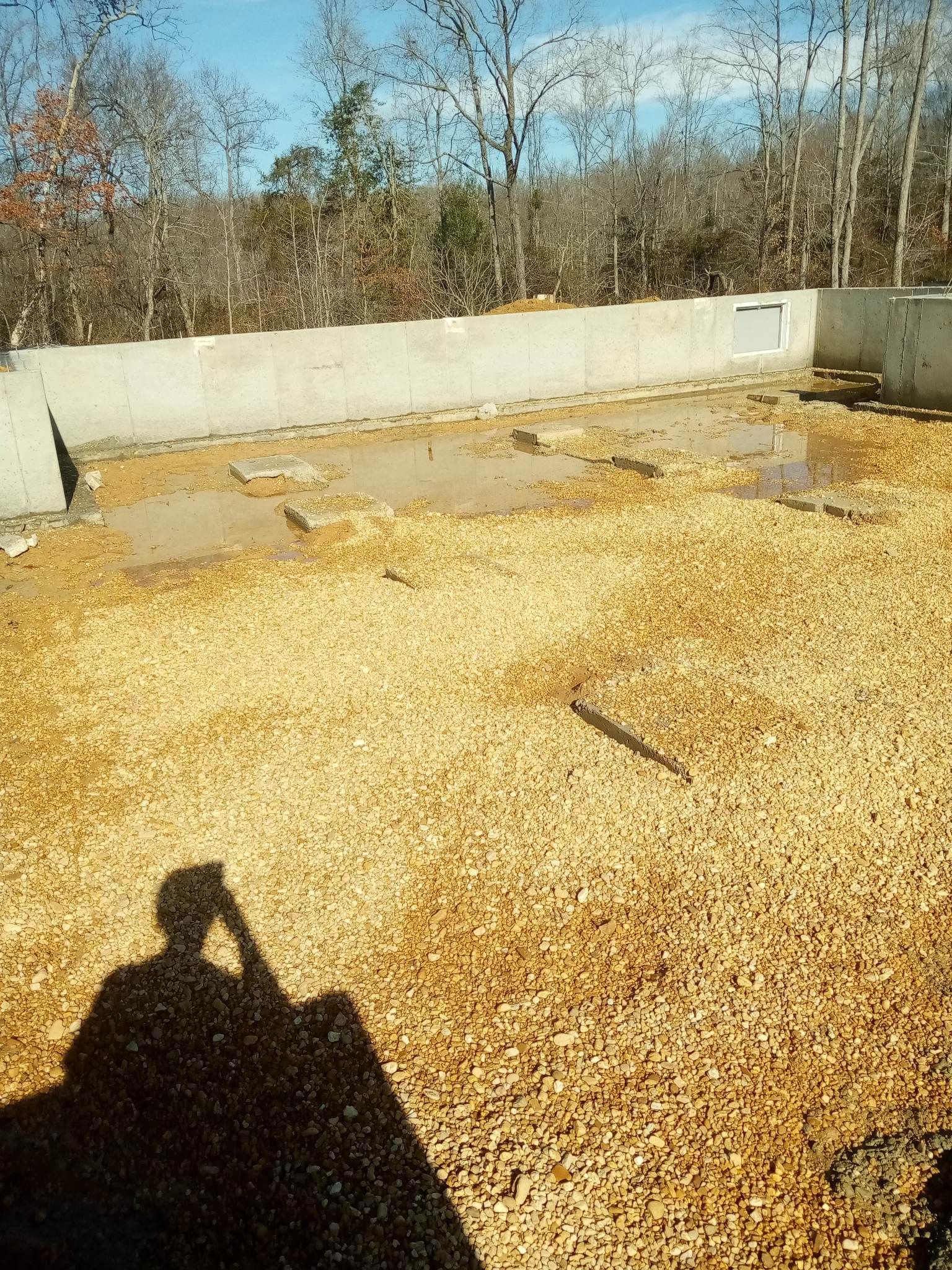 Rooftop covered in yellow leaves with a low concrete wall and bare trees in the background
