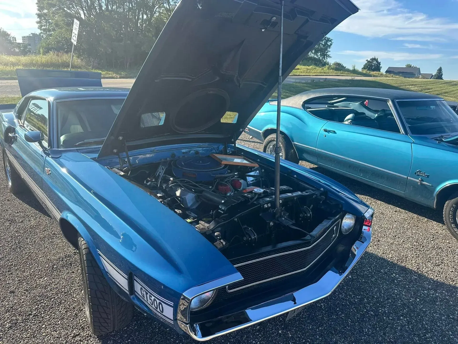 Two blue vintage Ford Mustang muscle cars with open hoods parked on a gravel lot under a sunny sky.