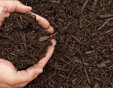 mulch
