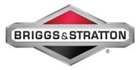 A logo for briggs and stratton is shown on a white background.