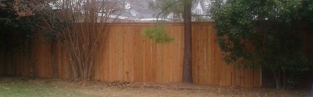 Cousin-Fence