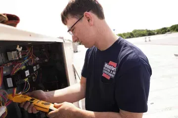 staff working