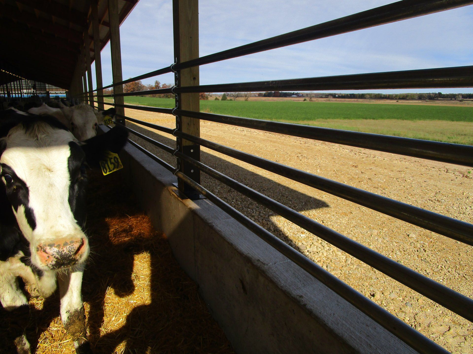 Agricultural building
