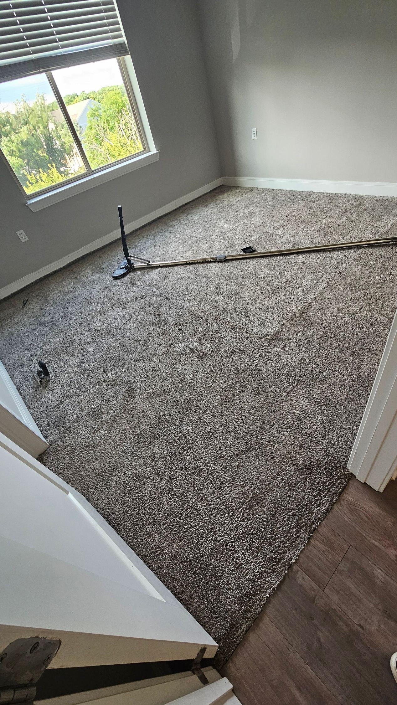 Empty room with gray carpet, white walls, and a window letting in daylight.