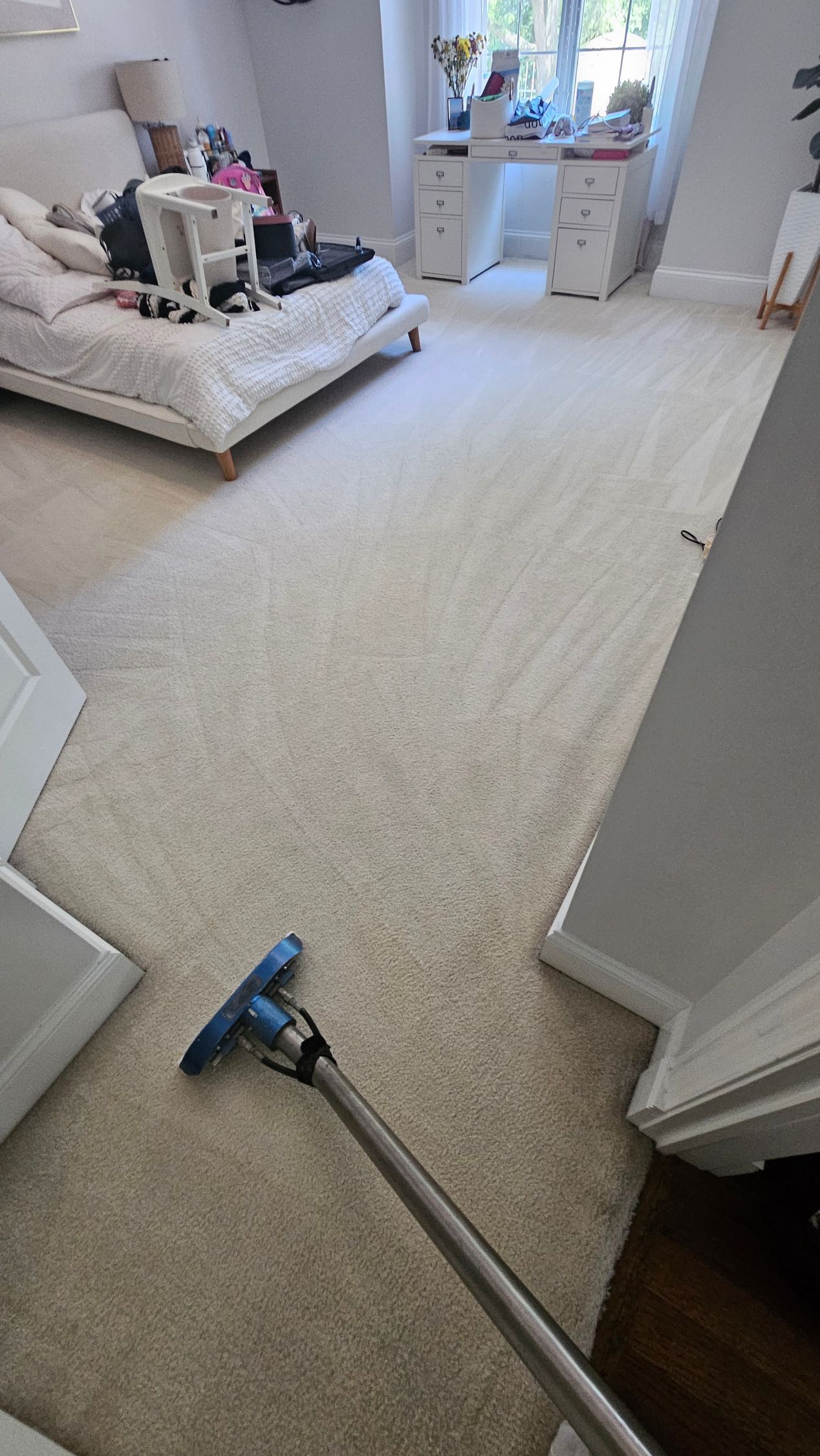 Carpeted living room with a blue vacuum cleaner in the foreground and a white sofa near a bright window.