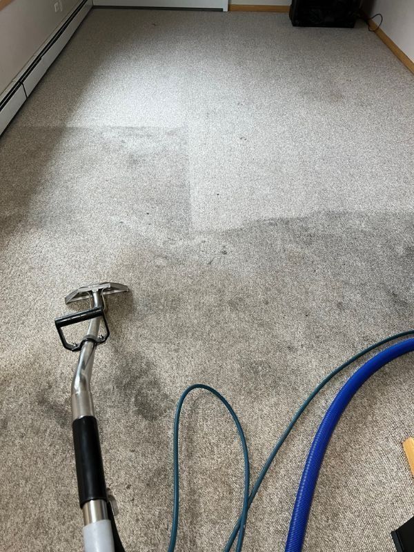 Carpet being cleaned with a floor extractor, showing a wet path across the room.