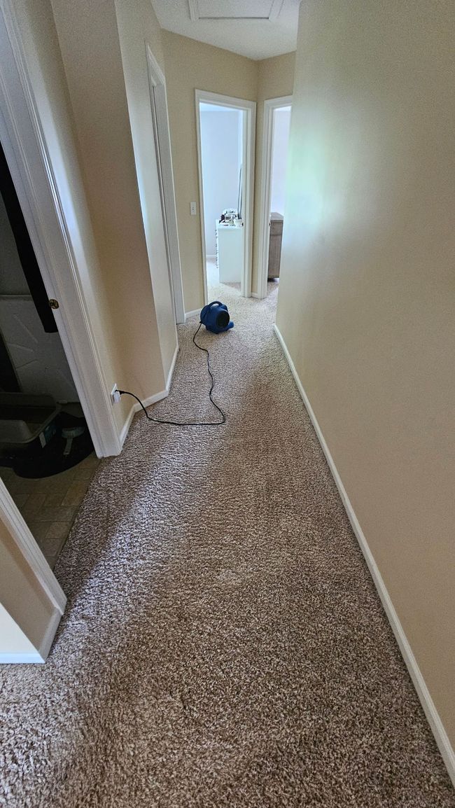 Narrow carpeted hallway with open doorways, leading to a bright bathroom at the end.