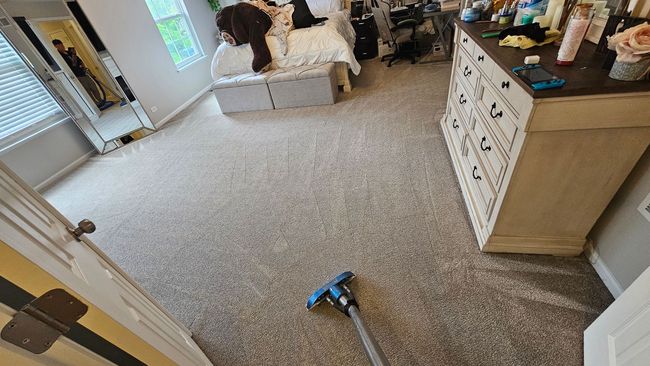 Carpeted bedroom with a dog on a bed and a vacuum cleaner on the floor.