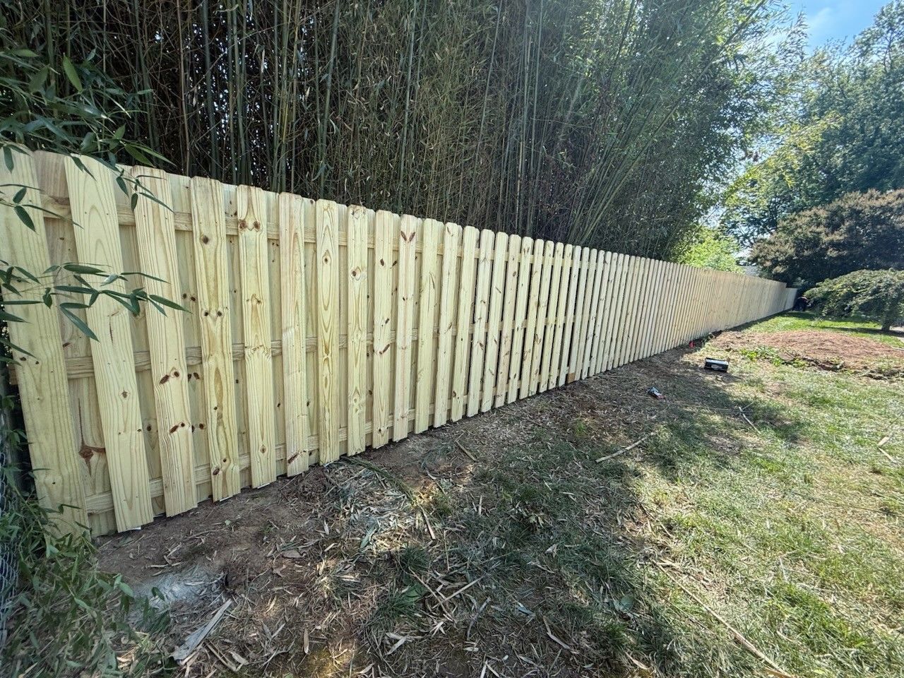 Wooden fence in a yard, with tall bamboo and green grass.