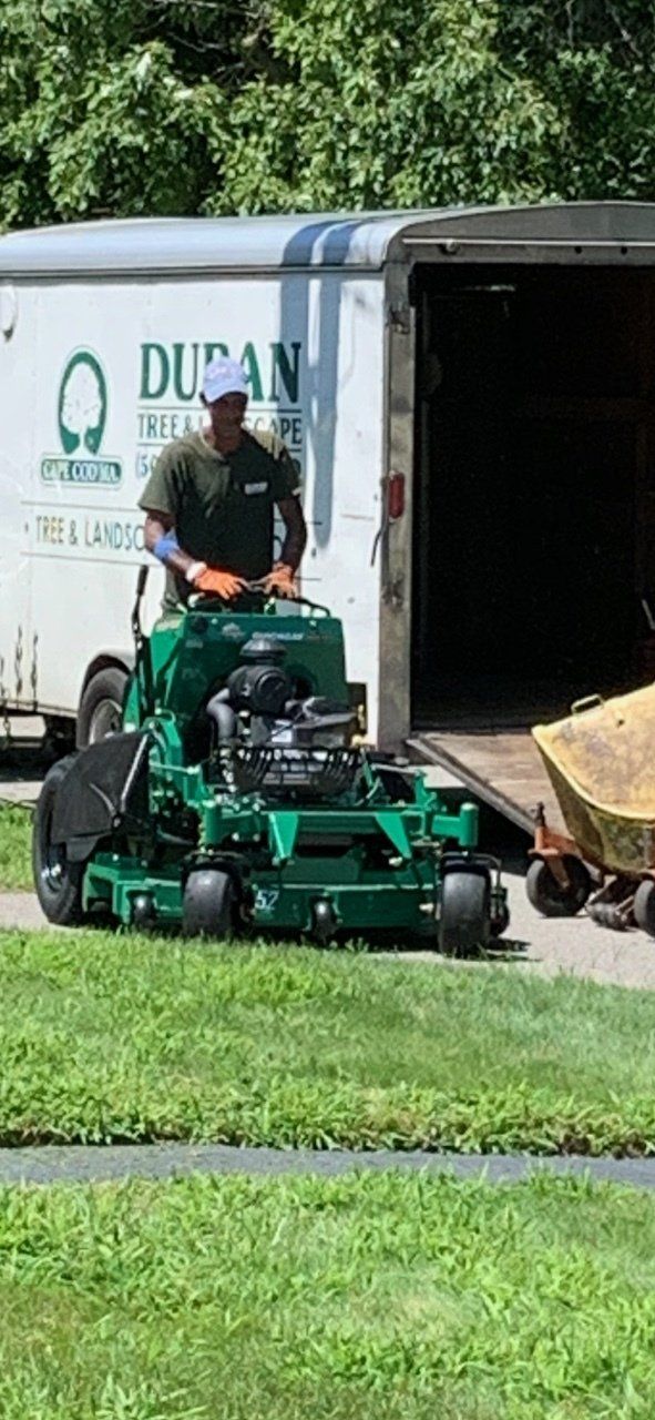 Landscaping Maintenance