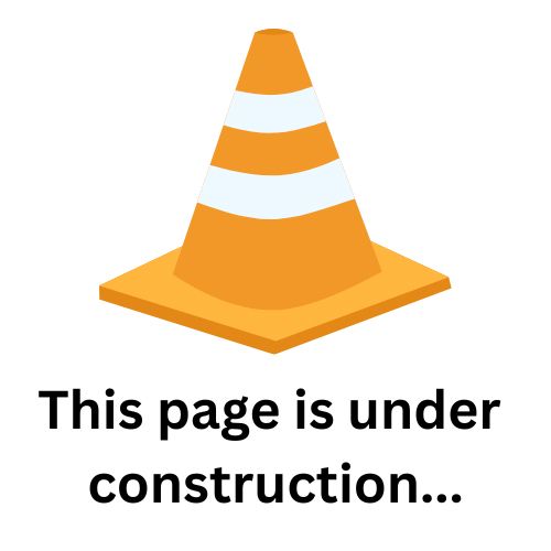 Orange traffic cone, with white stripes, on a square base. Text below reads