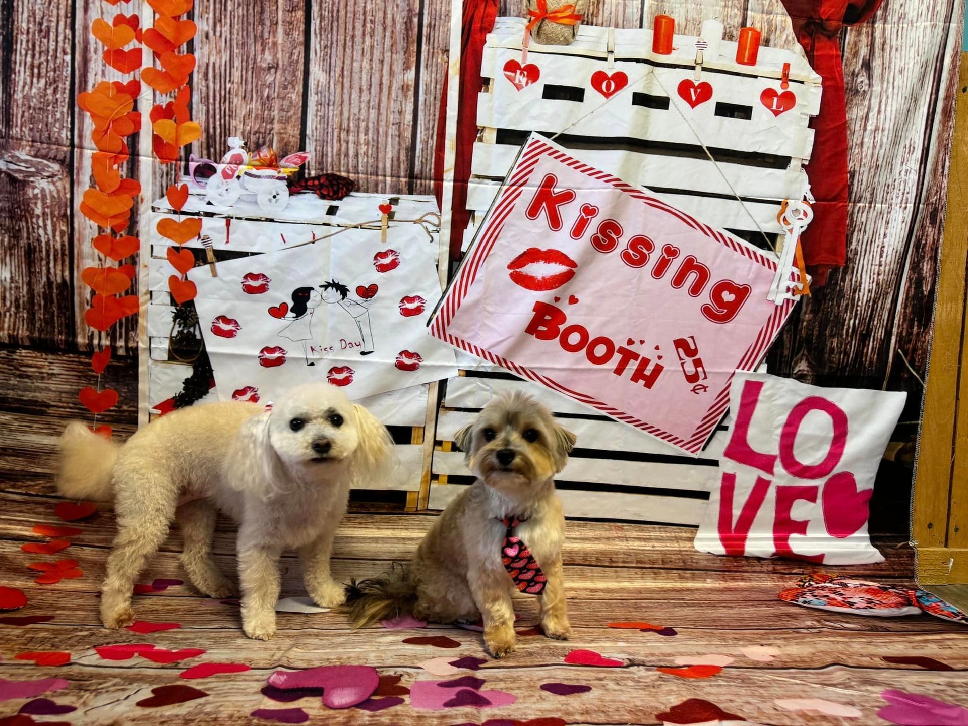 two dogs are posing for a picture in front of a kissing booth