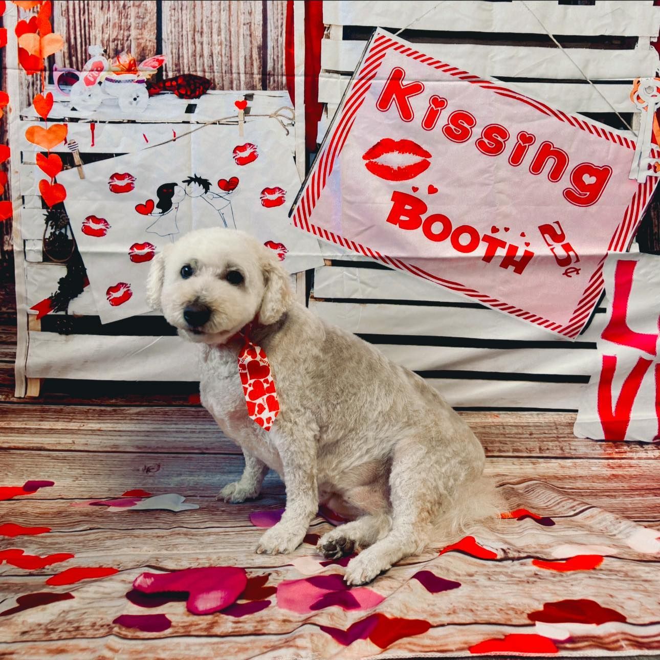 a dog is sitting in front of a sign that says kissing booth