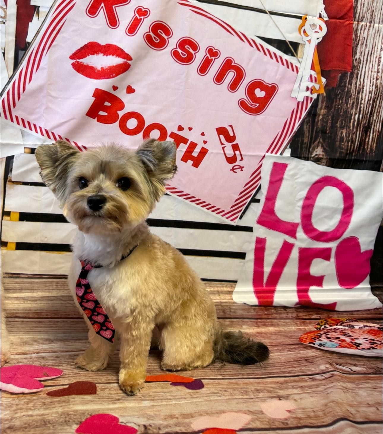 a small dog is sitting in front of a kissing booth sign