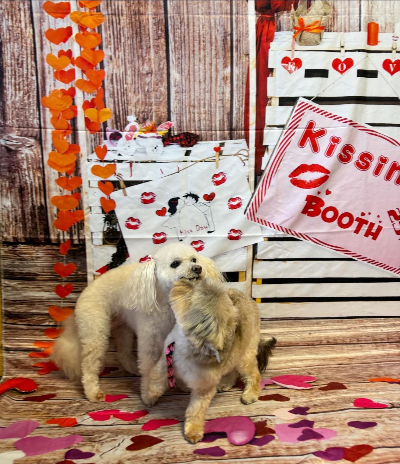 two dogs are standing in front of a kissing booth