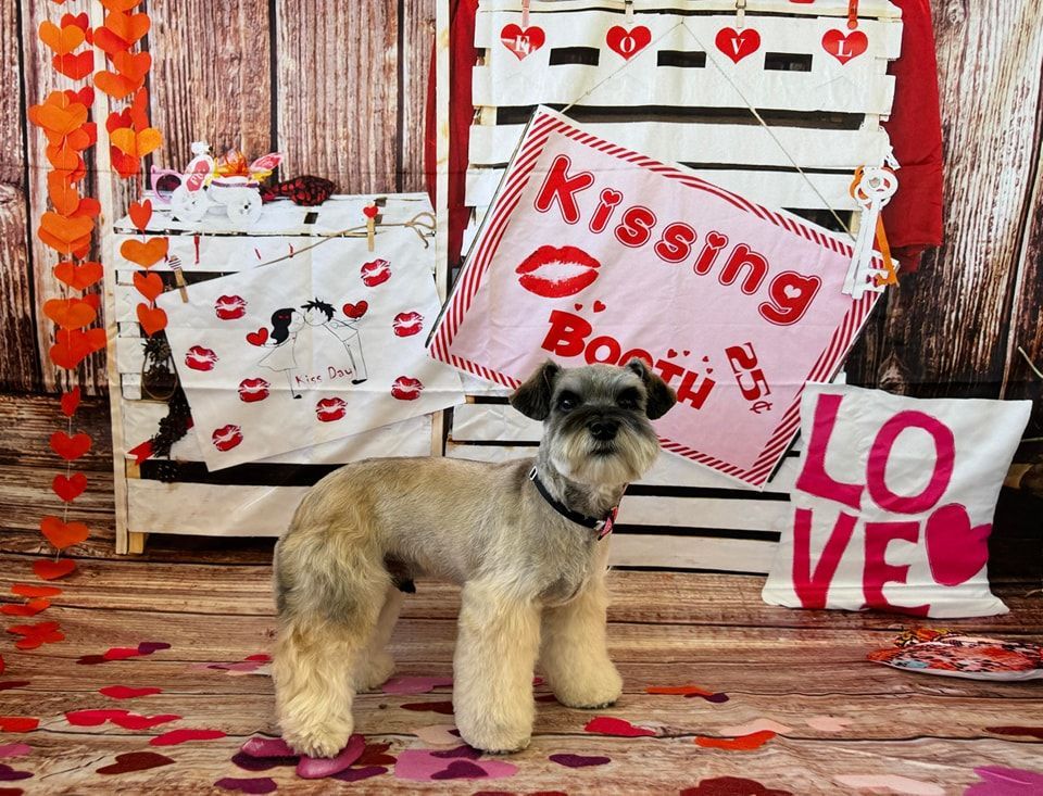 a small dog is standing in front of a sign that says kissing booth